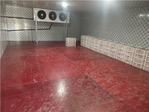 濟(jì)寧冷庫維修圖片